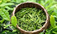 茶叶品种有哪些茶道入门茶道基本知识