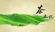 中国茶文化的传统美学思想溯源-罗布麻茶叶