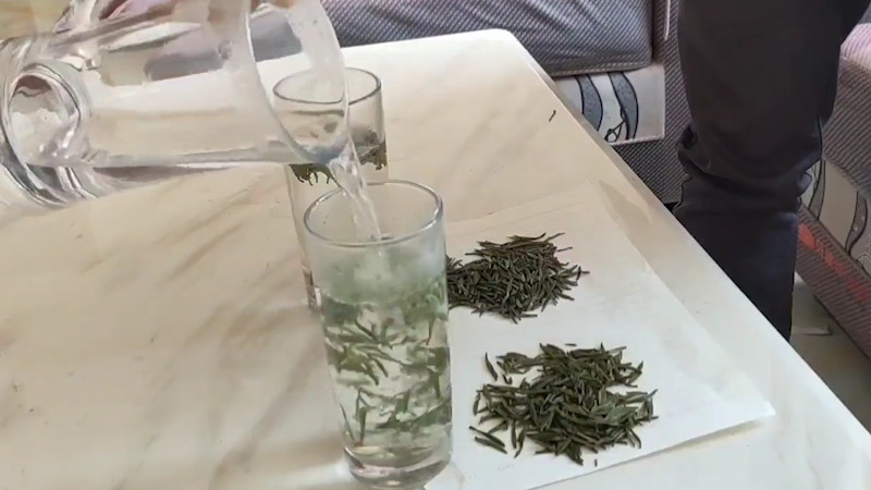 竹叶青茶用多少度水泡
