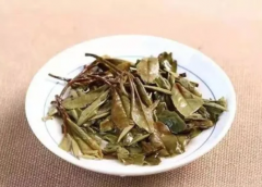 老树白茶属于什么茶 老树白茶有几种冲泡方式和功效作用